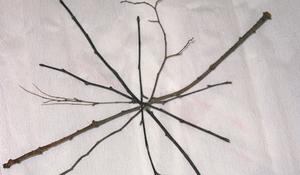 Dekoracje na Halloween - KROK I: układanie pajęczyny "na sucho"